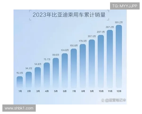 字母公司展现强大竞争力正在全力证明自身实力的最佳时机 字母公司展现强大竞争力正在全力证明自身实力的最佳时机